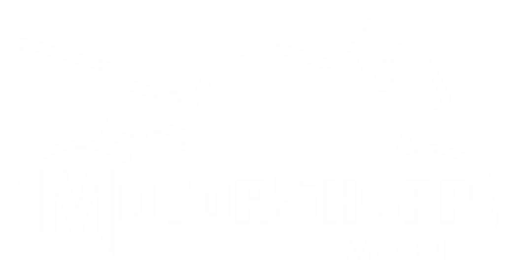 Logo da loja